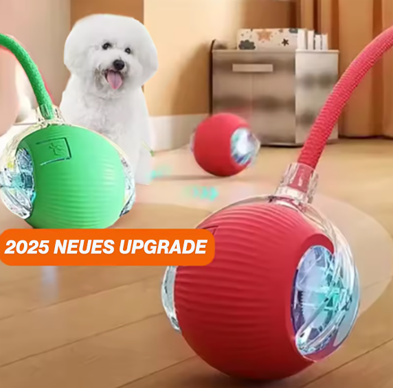 SCNDR®🎈🎈Smart Motion Haustierball V2