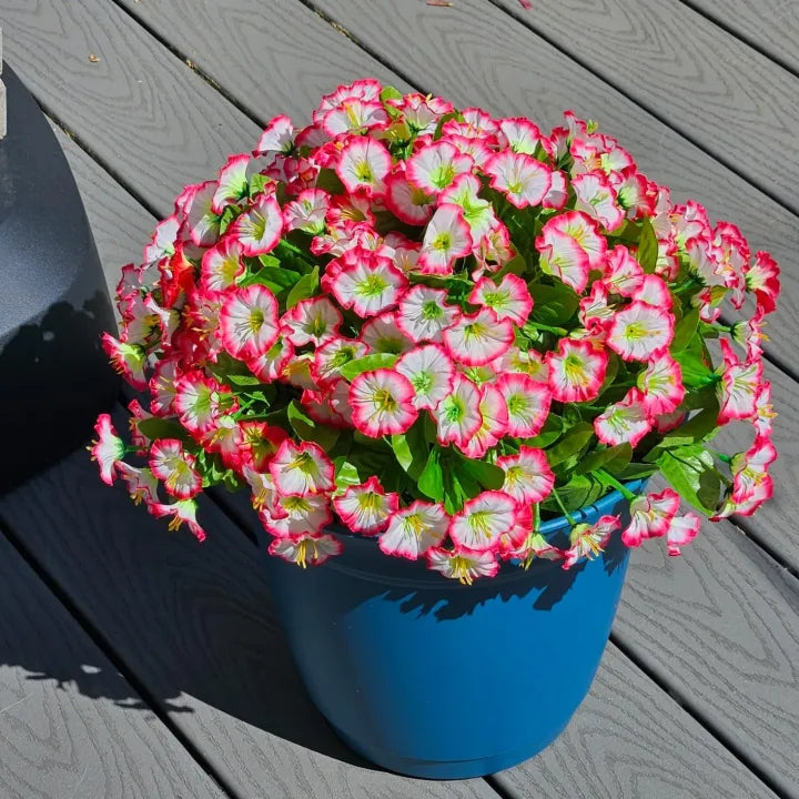 💐2025 Frühlings-Schnäppchen✨𝐔𝐕-𝐒𝐢𝐦𝐮𝐥𝐚𝐭𝐢𝐨𝐧 𝐊ü𝐧𝐬𝐭𝐥𝐢𝐜𝐡𝐞 𝐏𝐞𝐭𝐮𝐧𝐢𝐞𝐧🌷🌷