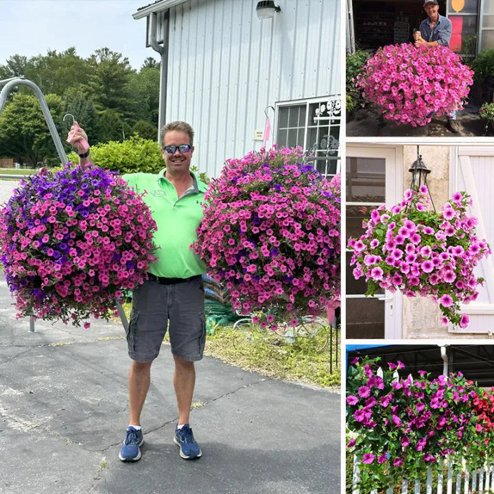 💐2025 Frühlings-Schnäppchen✨𝐔𝐕-𝐒𝐢𝐦𝐮𝐥𝐚𝐭𝐢𝐨𝐧 𝐊ü𝐧𝐬𝐭𝐥𝐢𝐜𝐡𝐞 𝐏𝐞𝐭𝐮𝐧𝐢𝐞𝐧🌷🌷